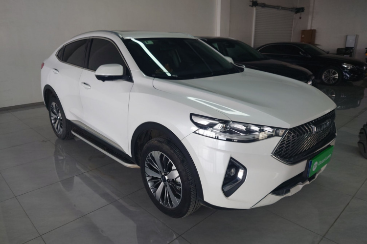 Haval F7x 2021 #4 Haval F7x 2021 car image #4