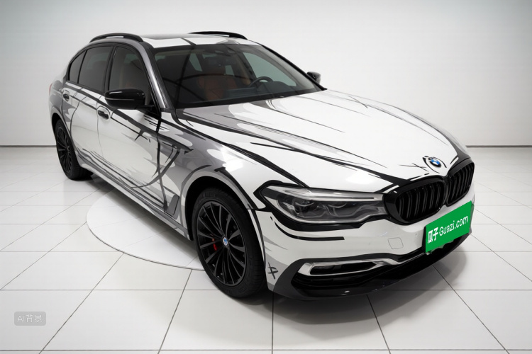 BMW 5 Series New Energy 2020 car image #4