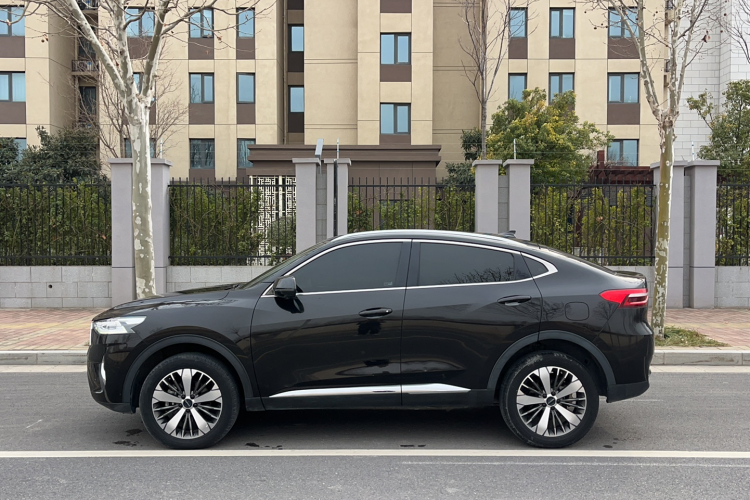 Haval F7x 2020 car image #4