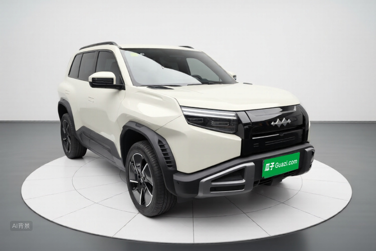 FangChengBao Tiger 3 2025 car image #4