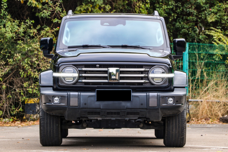 Tank 300 2023 immagine di auto #4