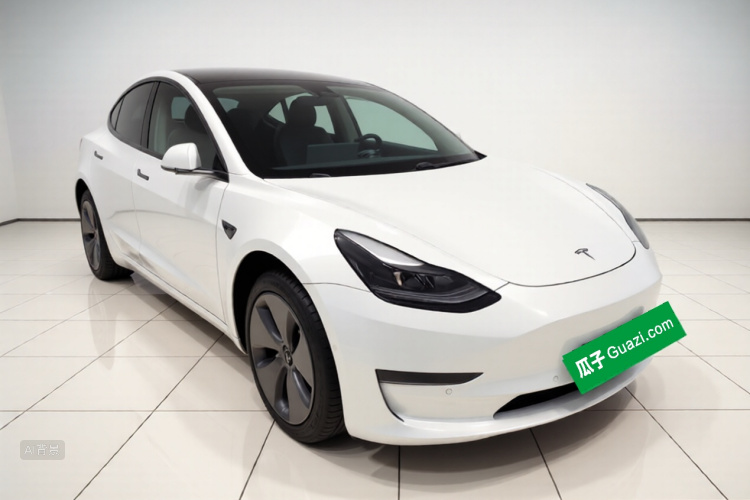 Tesla Model 3 2021 #4 Tesla Model 3 2021 car image #4