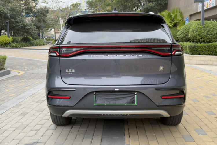 BYD Tang New Energy 2022 car image #4