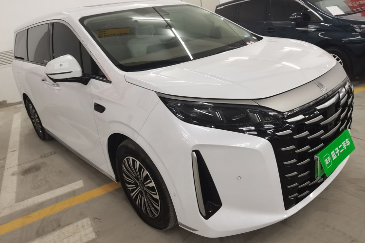 BYD Xia 2024 imagen de coche #4