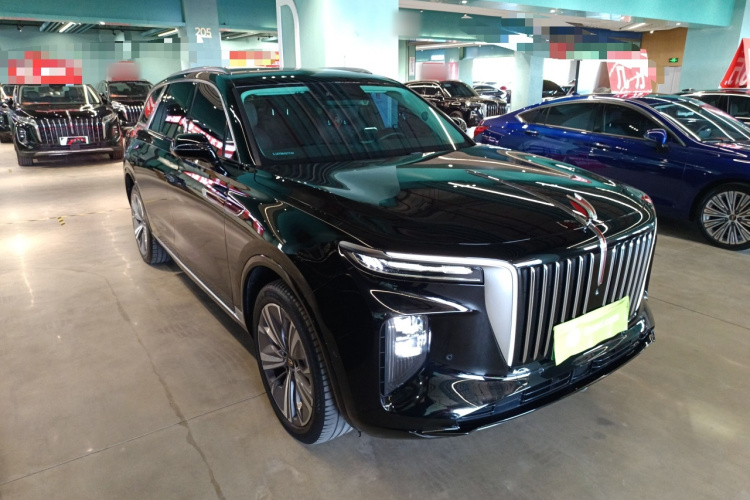 HongQi E-HS9 2021 صورة سيارة #4