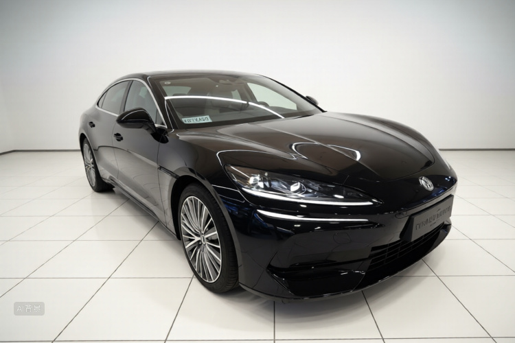 Denza Z9 2024 immagine di auto #4