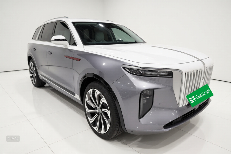 HongQi E-HS9 2022 car image #4