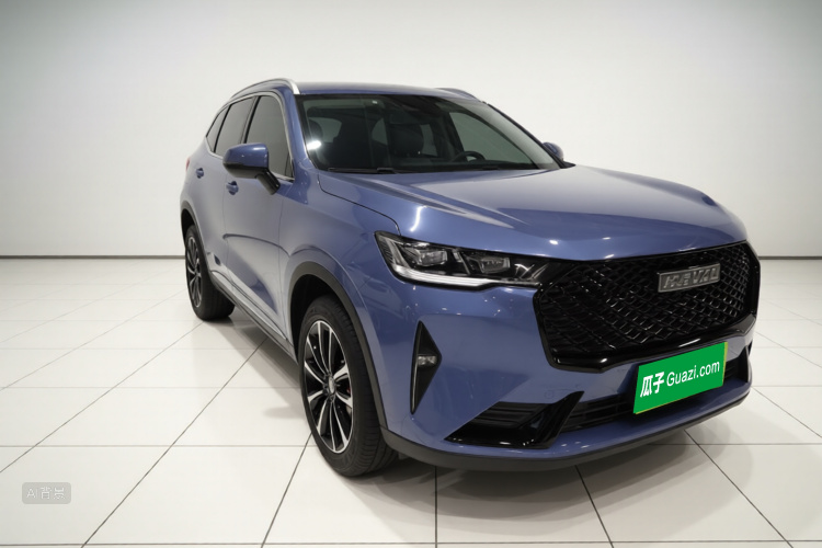 Haval H6 2021 immagine di auto #4
