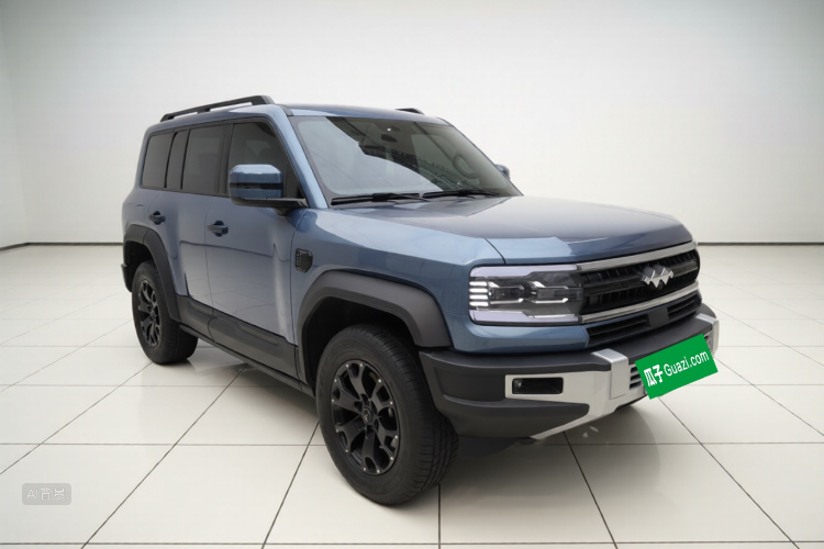 FangChengBao Leopard 5 2024 car image #4