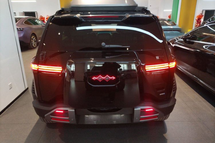 FangChengBao Tiger 3 2025 car image #4