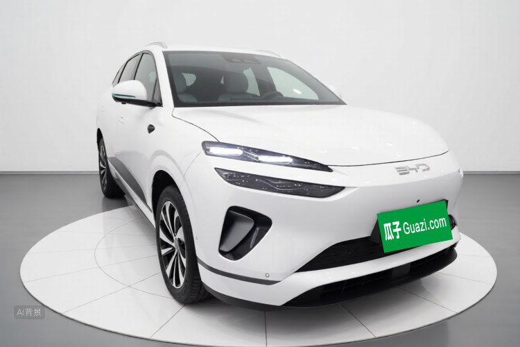 BYD Sea Lion 06 New Energy 2025 car image #4