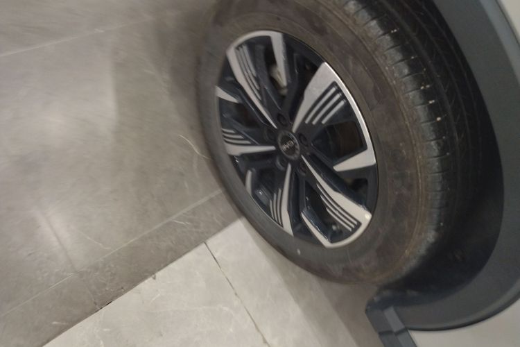 BYD Sea Lion 05 DM-i 2025 image de voiture #4