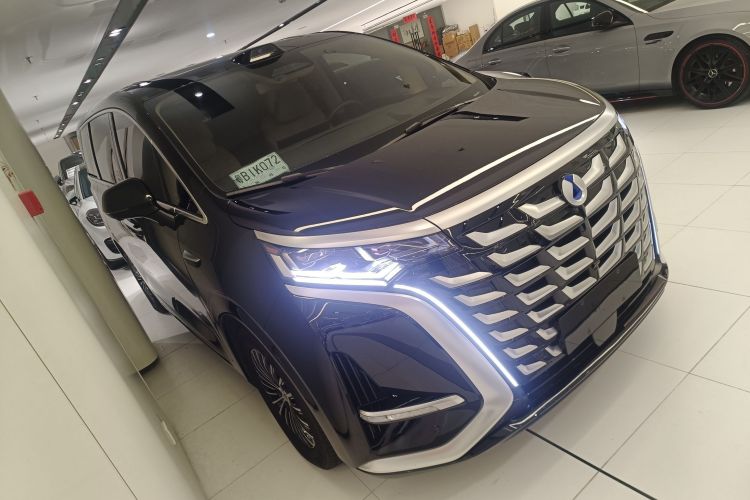 Denza D9 2025 immagine di auto #4