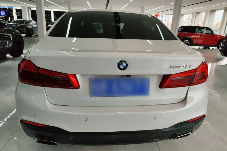 BMW 5 Series 2020 car image #4