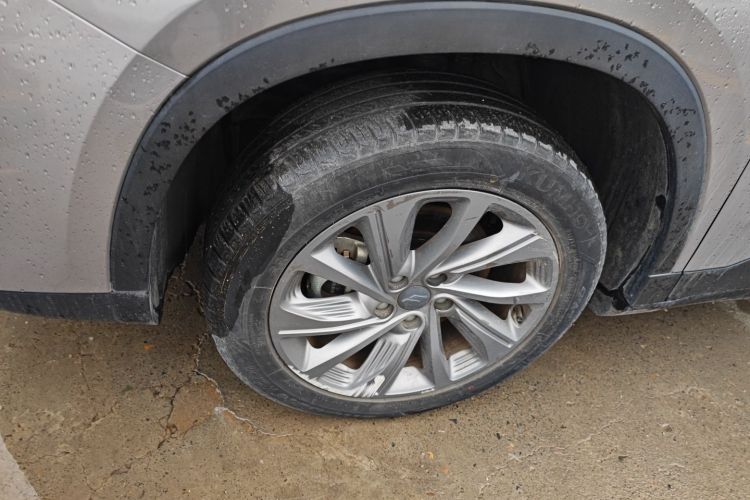 睿蓝汽车 睿蓝9 2023 汽车图片 #4