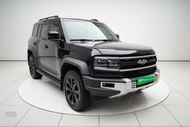 FangChengBao Leopard 5 2025 car image #4