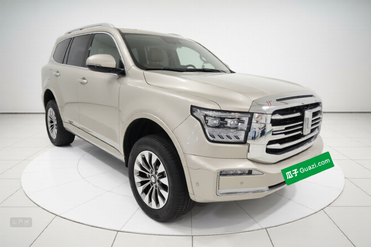 Tank 500 2023 immagine di auto #4