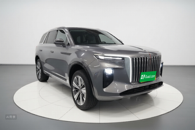 HongQi E-HS9 2023 car image #4