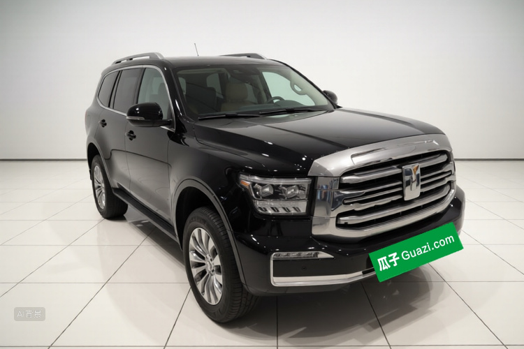 Tank 500 2022 immagine di auto #4