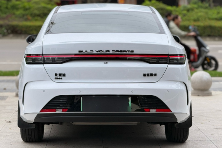 BYD Destroyer 05 2024 imagen de coche #4