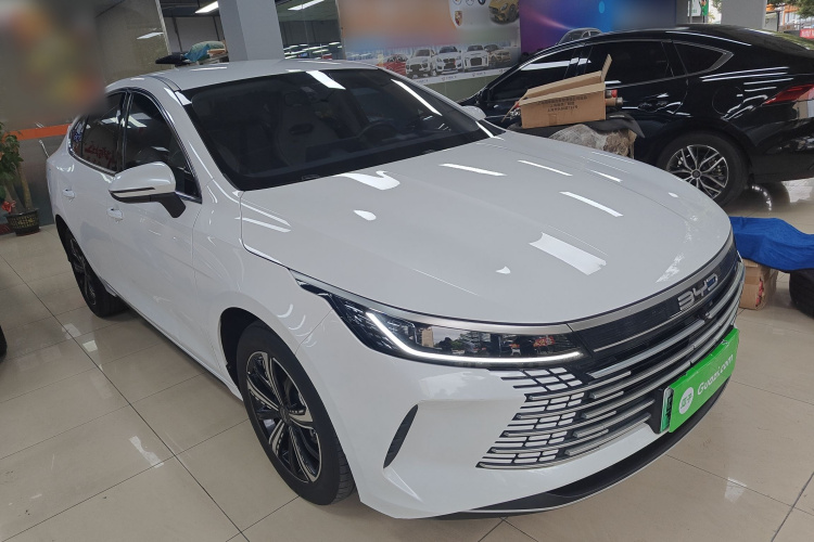 BYD Destroyer 05 2023 imagen de coche #4