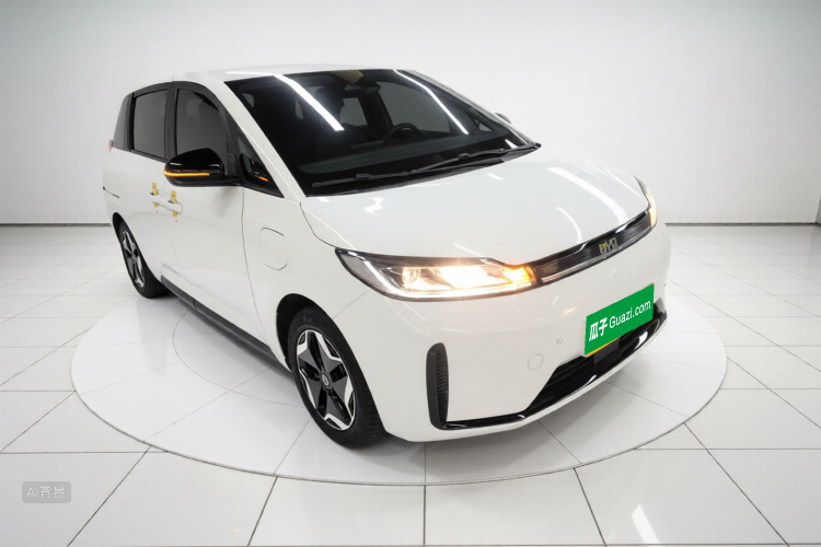 BYD D1 2023 imagen de coche #4