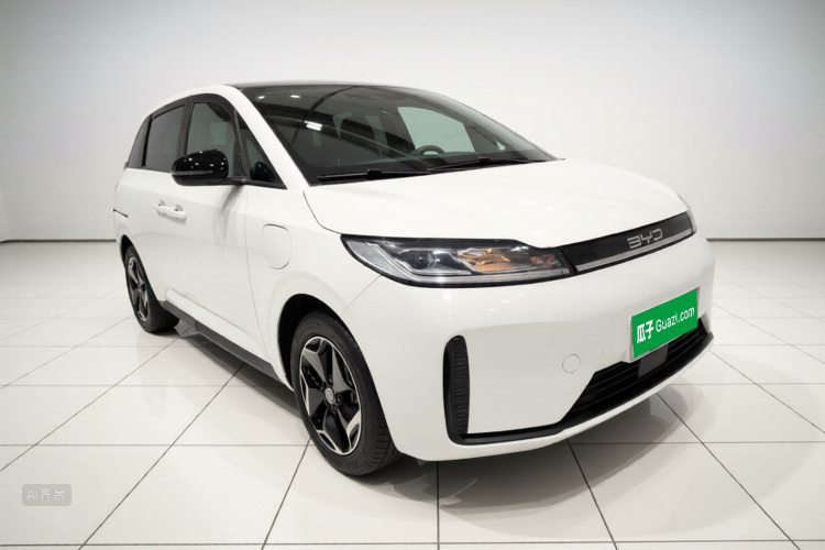 BYD D1 2024 car image #4