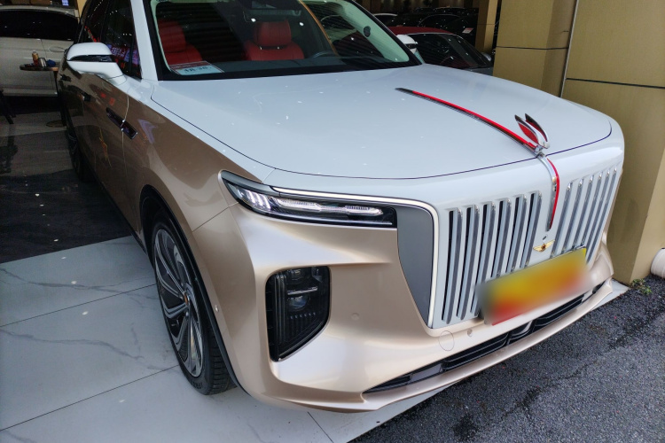 HongQi E-HS9 2021 imagem de carro #4