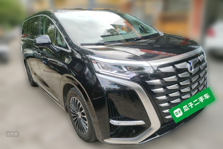 Denza D9 2023 imagem de carro #4