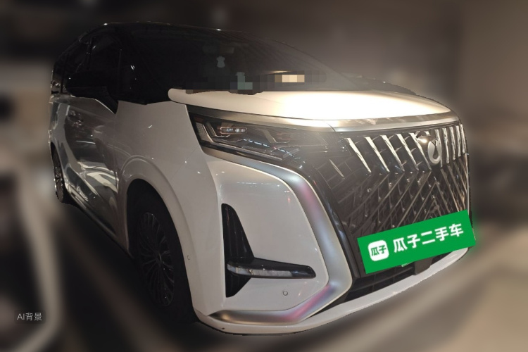 Denza D9 2023 imagen de coche #4