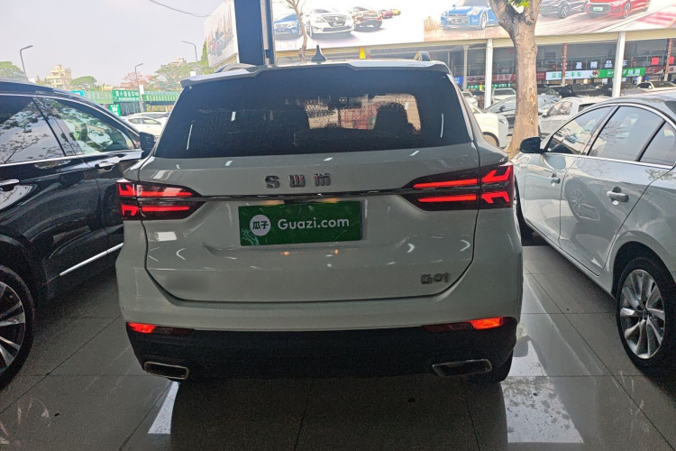 SWM G01 2020 image de voiture #4