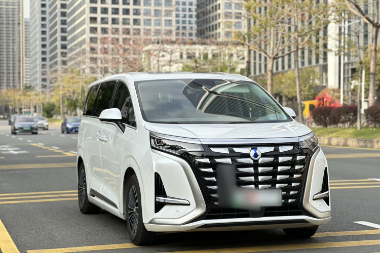 Denza D9 2023 imagem de carro #4