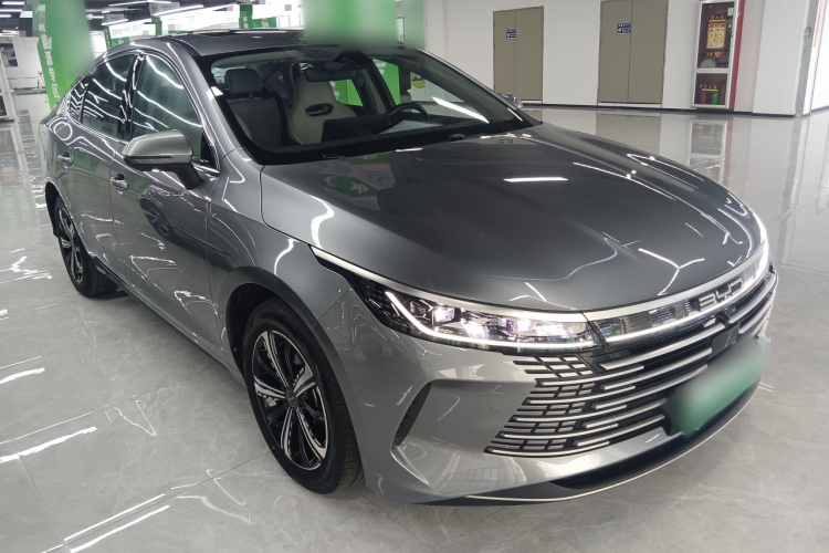 BYD Destroyer 05 2022 imagen de coche #4