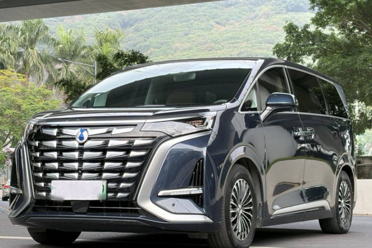 Denza D9 2023 imagen de coche #4