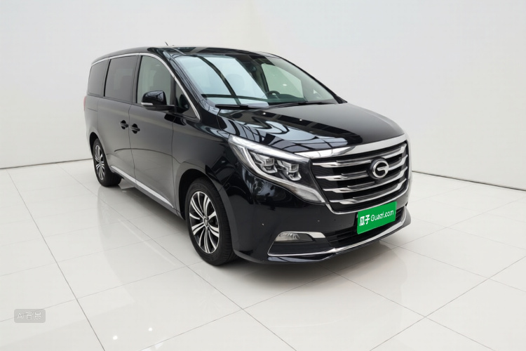GAC Trumpchi M8 2019 car image #4