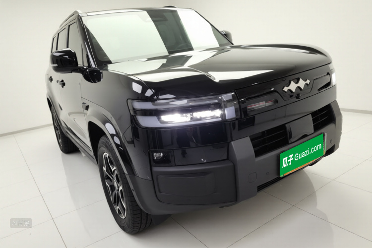 FangChengBao Tiger 7 2025 immagine di auto #4