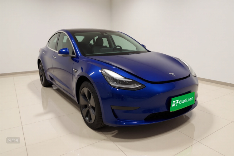 特斯拉 Model 3(进口) 2019 汽车图片 #4