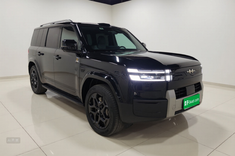 FangChengBao Tiger 7 2025 car image #4