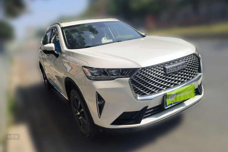 Haval H6 2023 immagine di auto #4