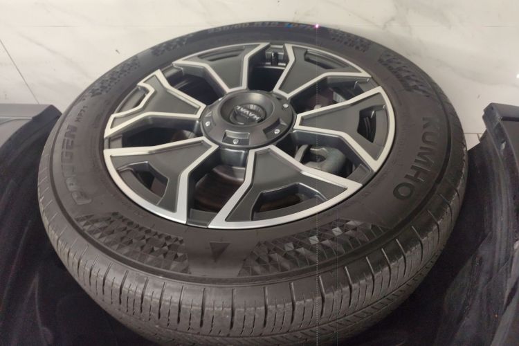 Haval X Dog 2 New Energy 2023 car image #4