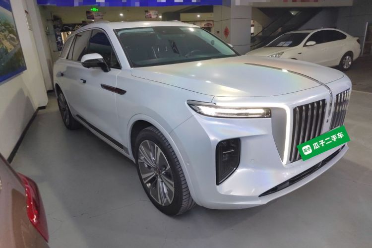 HongQi E-HS9 2023 immagine di auto #4