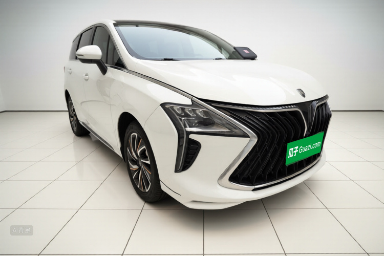 东风风行 风行游艇 2022 汽车图片 #4