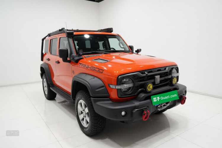 坦克 坦克300 2023 汽车图片 #4