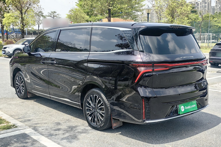 Forthing V9 2024 immagine di auto #4