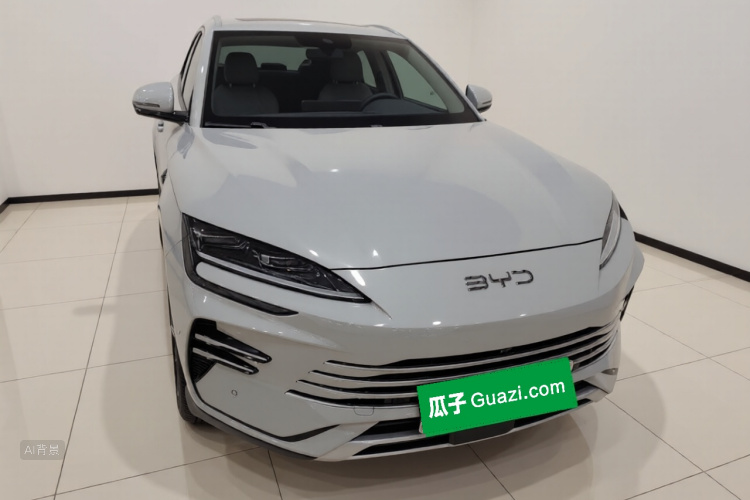 BYD Song Plus New Energy 2025 immagine di auto #4