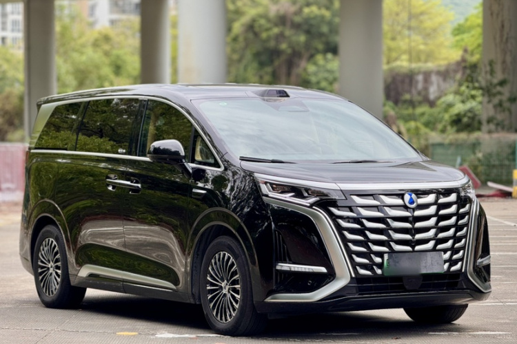 Denza D9 2025 изображение автомобиля #4