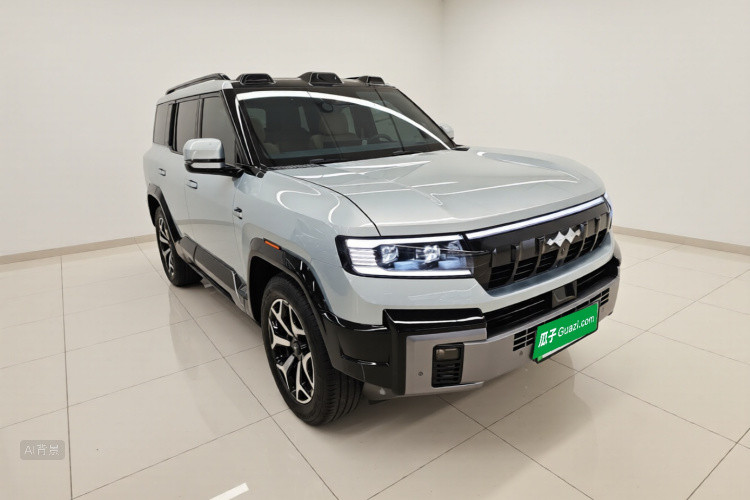 FangChengBao Leopard 8 2025 car image #4