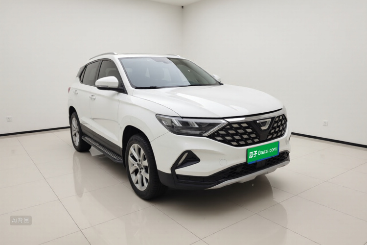 VS5 2019 car image #4
