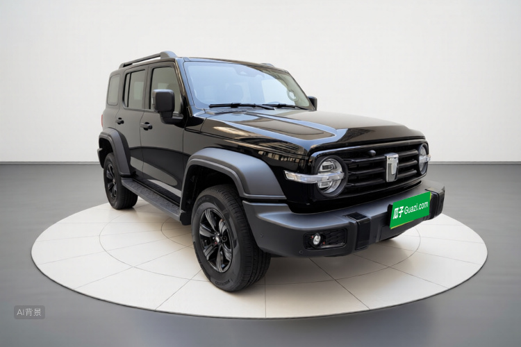 Tank 300 2026 immagine di auto #4