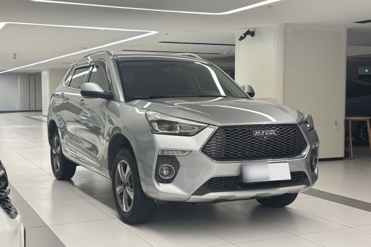 Haval H6 Coupe 2020 imagen de coche #4